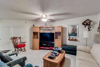 10650 W Pineaire Dr, Sun City, AZ 85351 - photo 7