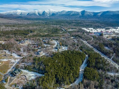 00 Hartford Ln unit 17, Carroll, NH 03583 - photo 4