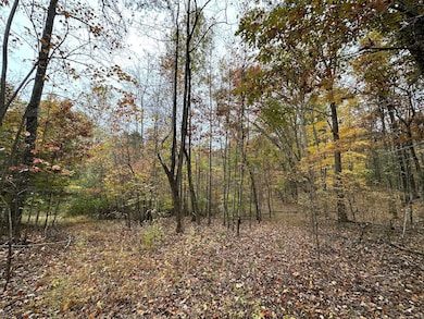 0 Jericho Rd unit 25758594, Walker, WV 26180 - photo 2