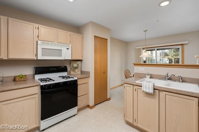 13818 S Bristlecone Ln unit D, Plainfield, IL 60544 - photo 4