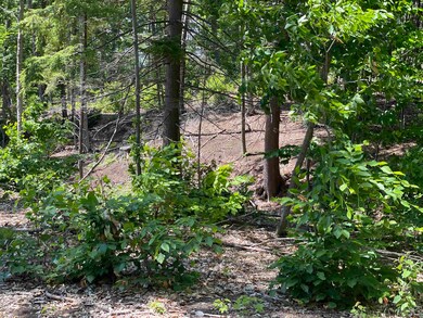 0 Jack Russell Rd unit 45-3 4913706, Ossipee, NH 03882 - photo 7