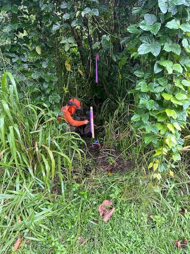 1503 Oio St, Hawaiian Beaches, HI 96778 - photo 5