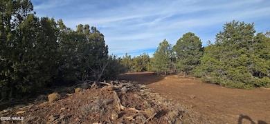 2393 E Starry Night Way unit 15, Williams, AZ 86046 - photo 3