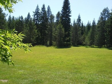 The meadow