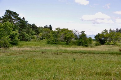 TBD N Bingham St unit 2, Cornwall, VT 05753 - photo 5