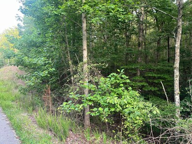 0 Ln unit 1524864, South Pittsburg, TN 37380 - photo 5