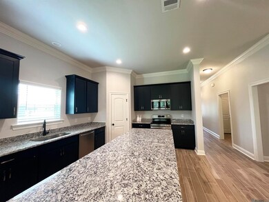 11447 Densmore Dr, Denham Springs, LA 70726 - photo 6