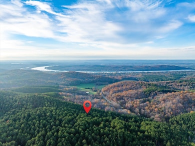 00 Sneed Rd, Decatur, TN 37322 - photo 2