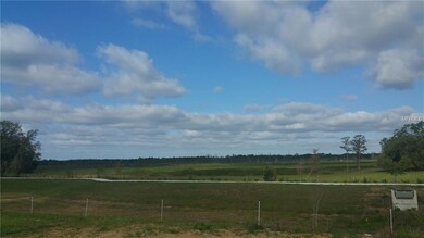 134 Flatwoods Loop, Davenport, FL 33837 - photo 3