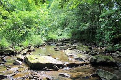 312 Laurel Fork, Ricetown, KY 41364 - photo 2