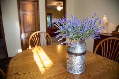 313 S Plum St, Marysville, OH 43040 - photo 6