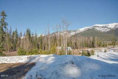 641 Wild Swan Trail, Bigfork, MT 59911 - photo 7