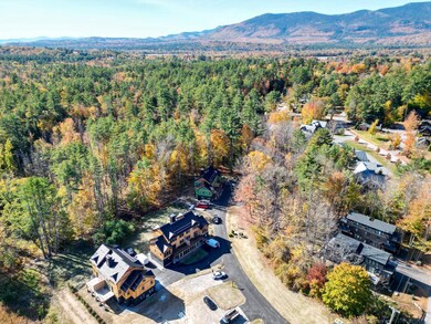 17 Black Diamond Rd unit 5, Conway, NH 03860 - photo 4