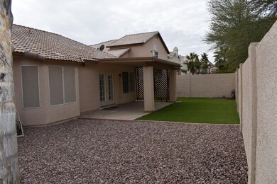 Back Yard 2