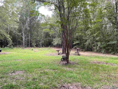 View of yard featuring a wooded view