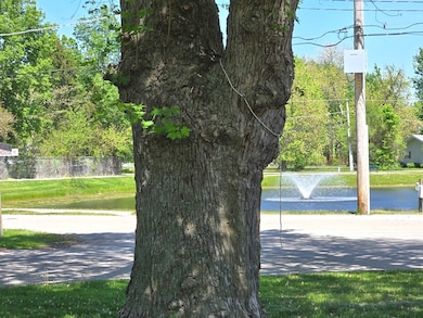 106 Round House St, Braidwood, IL 60408 - photo 2