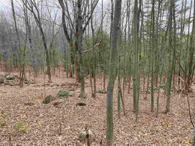 793 Texas Hill Rd, Plymouth, NH 03264 - photo 4