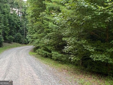 0 Whitecliff Dr unit 10371196, Ellijay, GA 30540 - photo 6