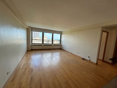 4180 N Marine Dr unit 1311, Chicago, IL 60613 - photo 4