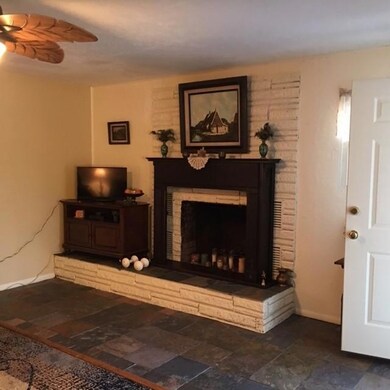 Wood burning Fireplace