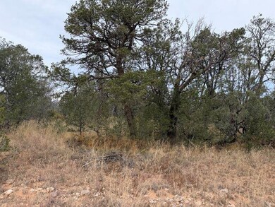 0 Palomino Dr unit 11, Timberon, NM 88350 - photo 2