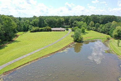 Large pond