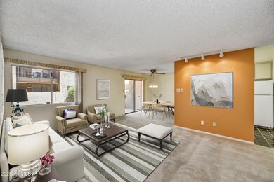 5525 E Thomas Rd unit N1, Phoenix, AZ 85018 - photo 5