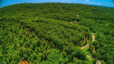 1228 Healing Springs Dr, Denton, NC 27239 - photo 6