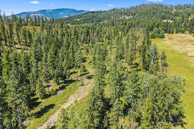 NNA Dry Creek Rd unit Lot 2, Chewelah, WA 99109 - photo 7