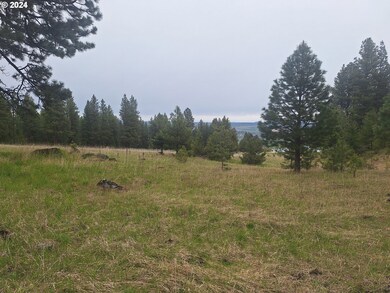 0 2s44 1600 Tl 902 unit 23676547, Enterprise, OR 97828 - photo 5