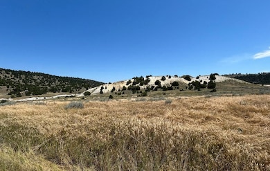 0 Smugglers Way unit 24226635, Lusk, WY 82225 - photo 3