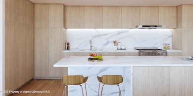 101 Willow Rd unit 103, Basalt, CO 81621 - photo 6