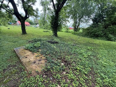 Vacant Lot in the Ozarks2