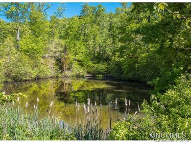 Pond