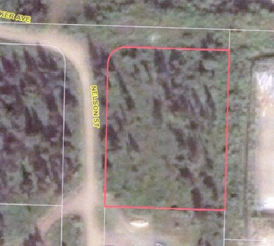 Nelson lot aerial