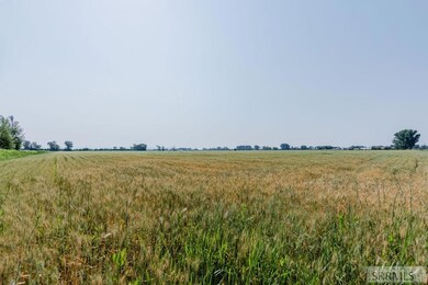 Field view