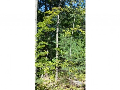 Lot 6 Barend, Wakefield, NH 03872 - photo 5