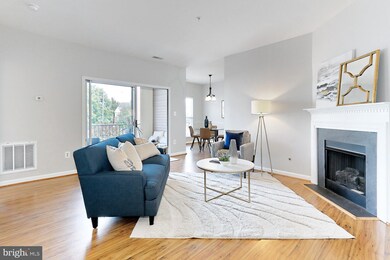 11301 Westbrook Mill Ln unit 201, Fairfax, VA 22030 - photo 6