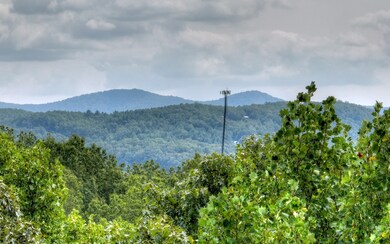 Additional View
