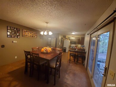 9212 N 1000th Rd, Effingham, IL 62401 - photo 7