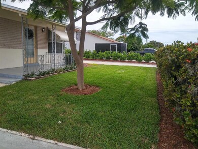 Lush land Scaping