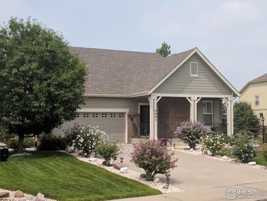 Front yard in the summer