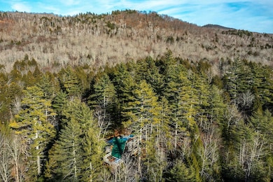 4410 Pikes Falls Rd, Jamaica, VT 05343 - photo 6