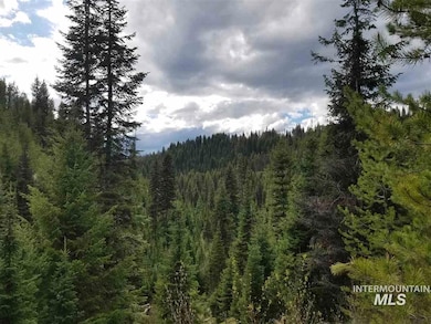 TBD American Eagle Properties Survey 1810 & Survey 188, Elk City, ID 83525 - photo 7