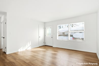 829 Washington St unit 1, Woodstock, IL 60098 - photo 5