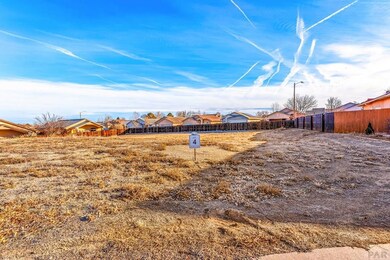 1004 Willowcrest Place, Pueblo, CO 81005 - photo 2