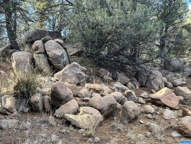 TBD Linda Dr, Silver City, NM 88061 - photo 7