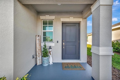 13993 Lilac Sky Terrace, Bradenton, FL 34211 - photo 5