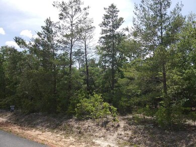 0 Central Rd unit 381525, Midway, FL 32344 - photo 4