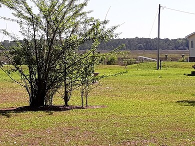Marsh View